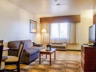 Western 3* Elko